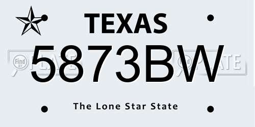 5873BW Texas License Plate