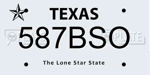 587BSO Texas License Plate