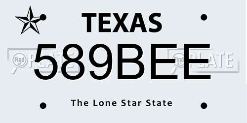 589BEE Texas License Plate