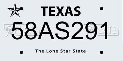 58AS291 Texas License Plate