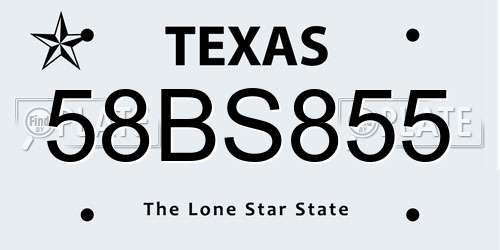 58BS855 Texas License Plate