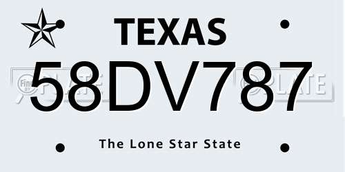 58DV787 Texas License Plate