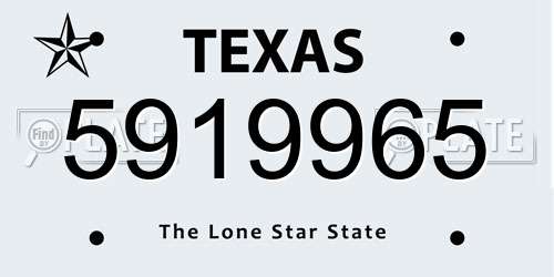 5919965 Texas License Plate