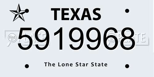 5919968 Texas License Plate