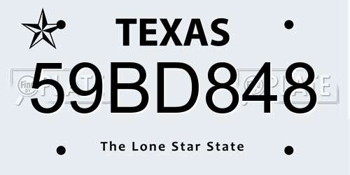 59BD848 Texas License Plate