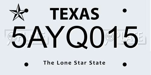 5AYQ015 Texas License Plate