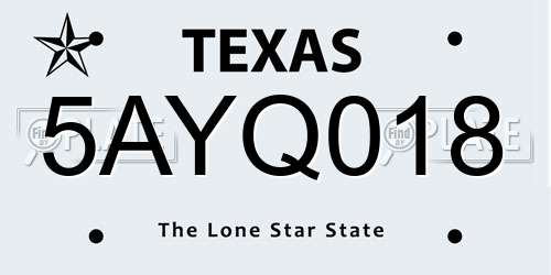 5AYQ018 Texas License Plate