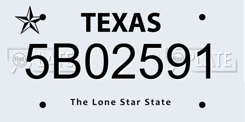 5B02591 Texas License Plate