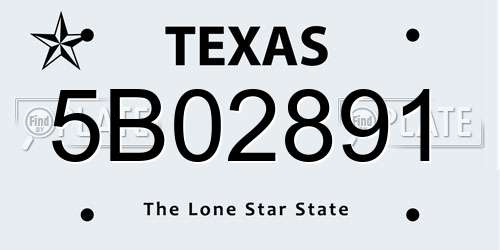 5B02891 Texas License Plate