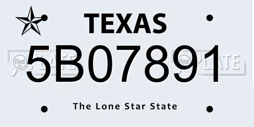 5B07891 Texas License Plate