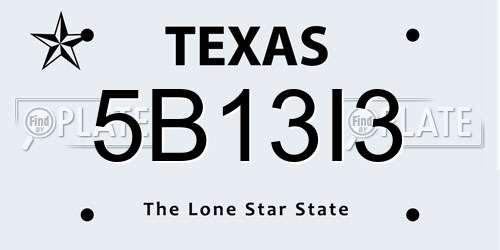 5B13I3 Texas License Plate