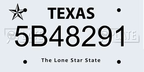 5B48291 Texas License Plate