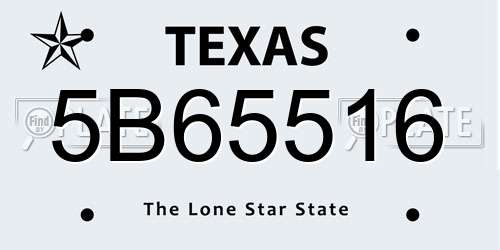5B65516 Texas License Plate