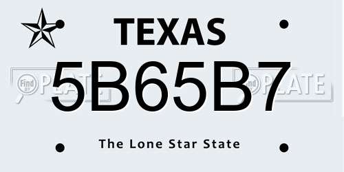 5B65B7 Texas License Plate
