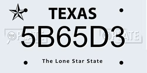 5B65D3 Texas License Plate