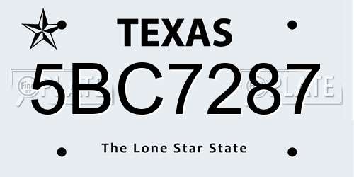 5BC7287 Texas License Plate