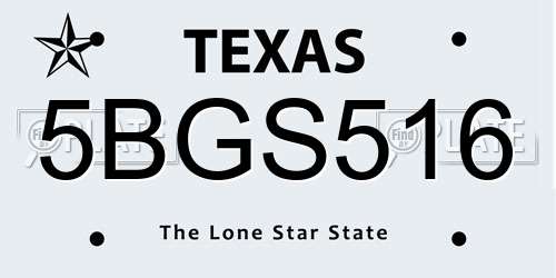 5BGS516 Texas License Plate