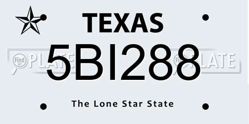5BI288 Texas License Plate