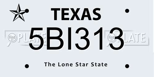 5BI313 Texas License Plate