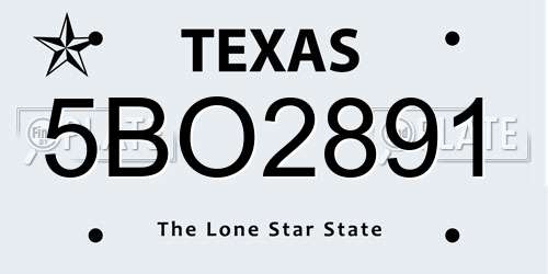 5BO2891 Texas License Plate