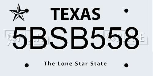 5BSB558 Texas License Plate