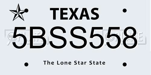 5BSS558 Texas License Plate