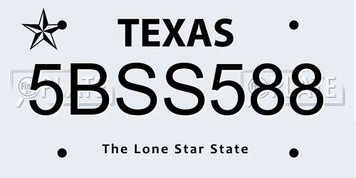 5BSS588 Texas License Plate