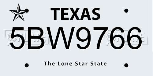 5BW9766 Texas License Plate