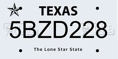 5BZD228 Texas License Plate