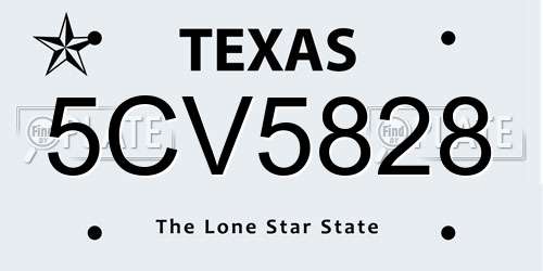 5CV5828 Texas License Plate