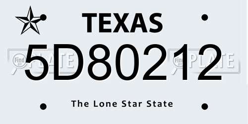 5D80212 Texas License Plate