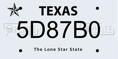 5D87B0 Texas License Plate