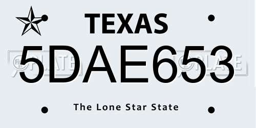5DAE653 Texas License Plate