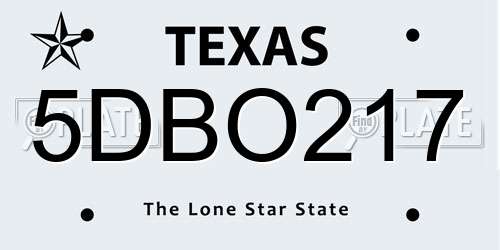 5DBO217 Texas License Plate
