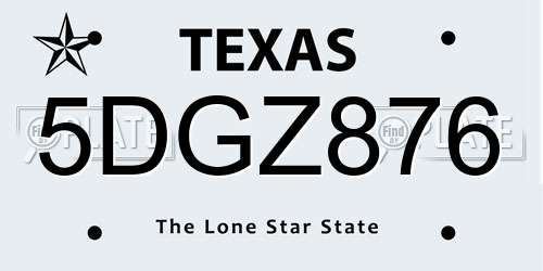 5DGZ876 Texas License Plate
