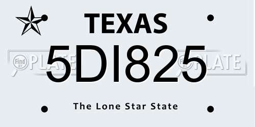5DI825 Texas License Plate