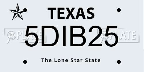 5DIB25 Texas License Plate