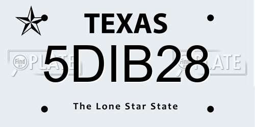 5DIB28 Texas License Plate
