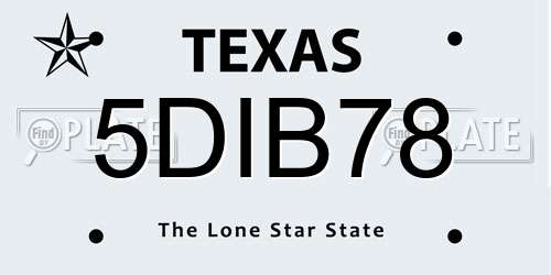5DIB78 Texas License Plate