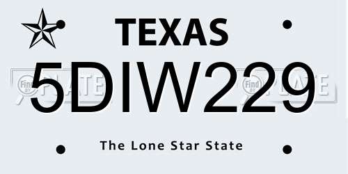 5DIW229 Texas License Plate