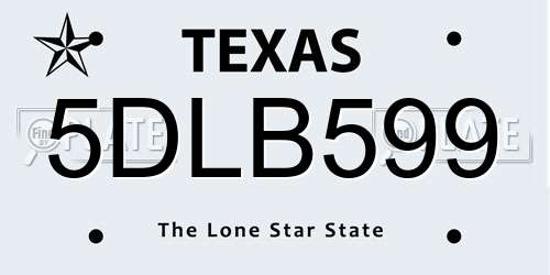 5DLB599 Texas License Plate