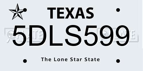 5DLS599 Texas License Plate