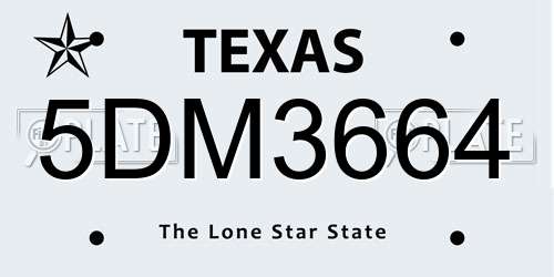 5DM3664 Texas License Plate