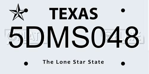 5DMS048 Texas License Plate
