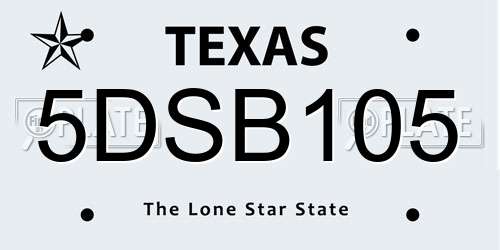 5DSB105 Texas License Plate