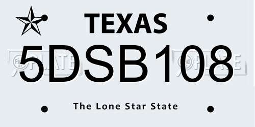 5DSB108 Texas License Plate