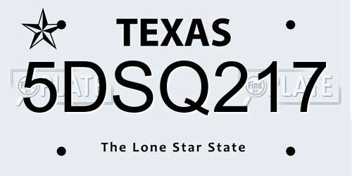 5DSQ217 Texas License Plate