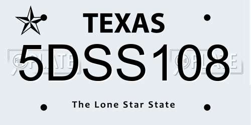 5DSS108 Texas License Plate