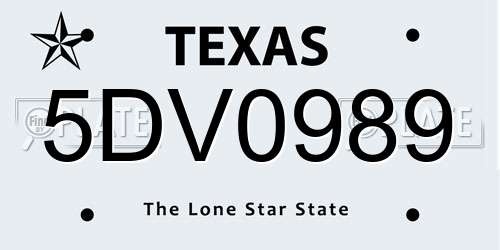 5DV0989 Texas License Plate