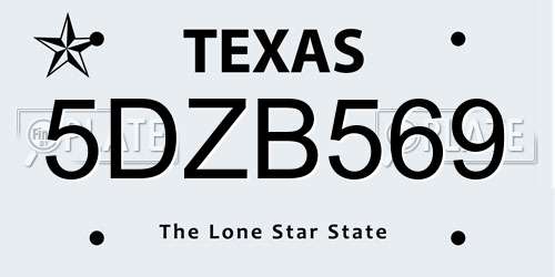 5DZB569 Texas License Plate